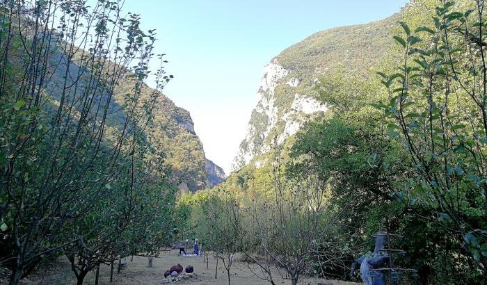 Quando l'arte è una festa collettiva: torna Land Art al Furlo