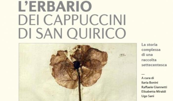 Le piante secche, dall'erbario al libro