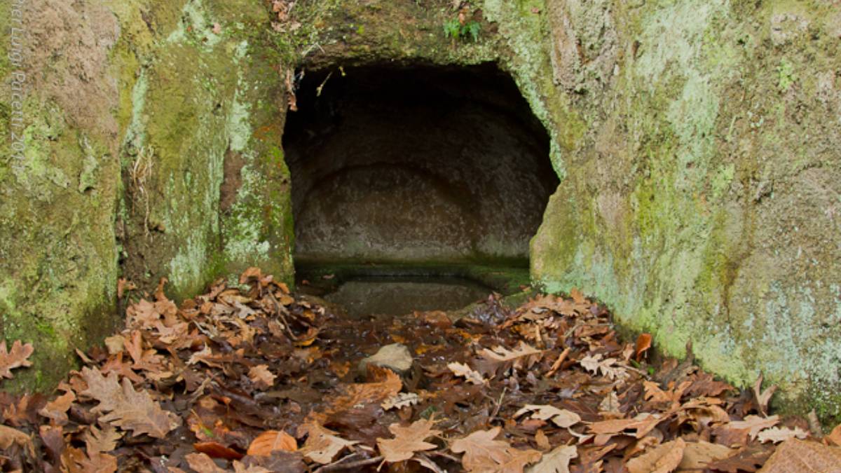 Alla scoperta dell'incantevole Necropoli Etrusca delle Caldane: un tesoro nascosto tra i boschi di Castel Viscardo