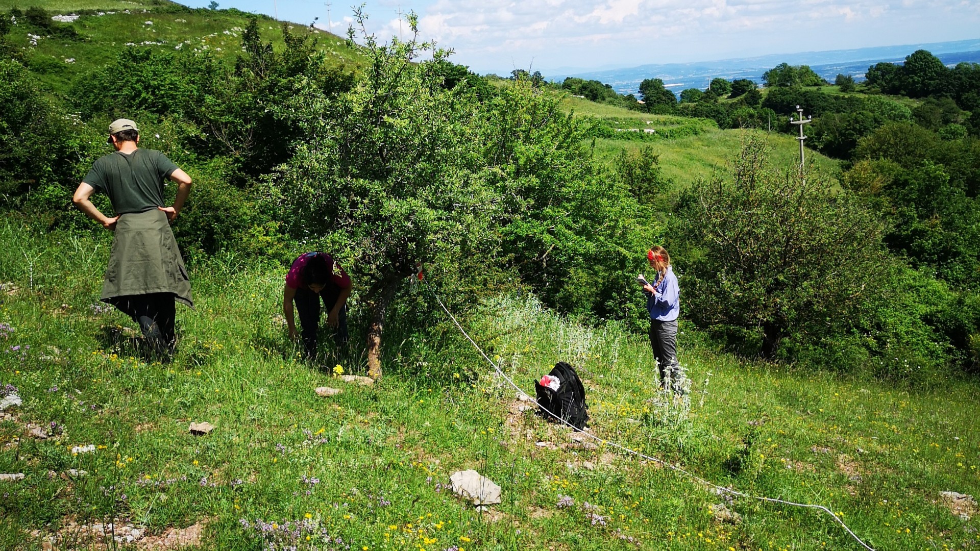 Cinghiali e aree protette: uno studio rivela i fattori chiave che influenzano il 'grufolamento'