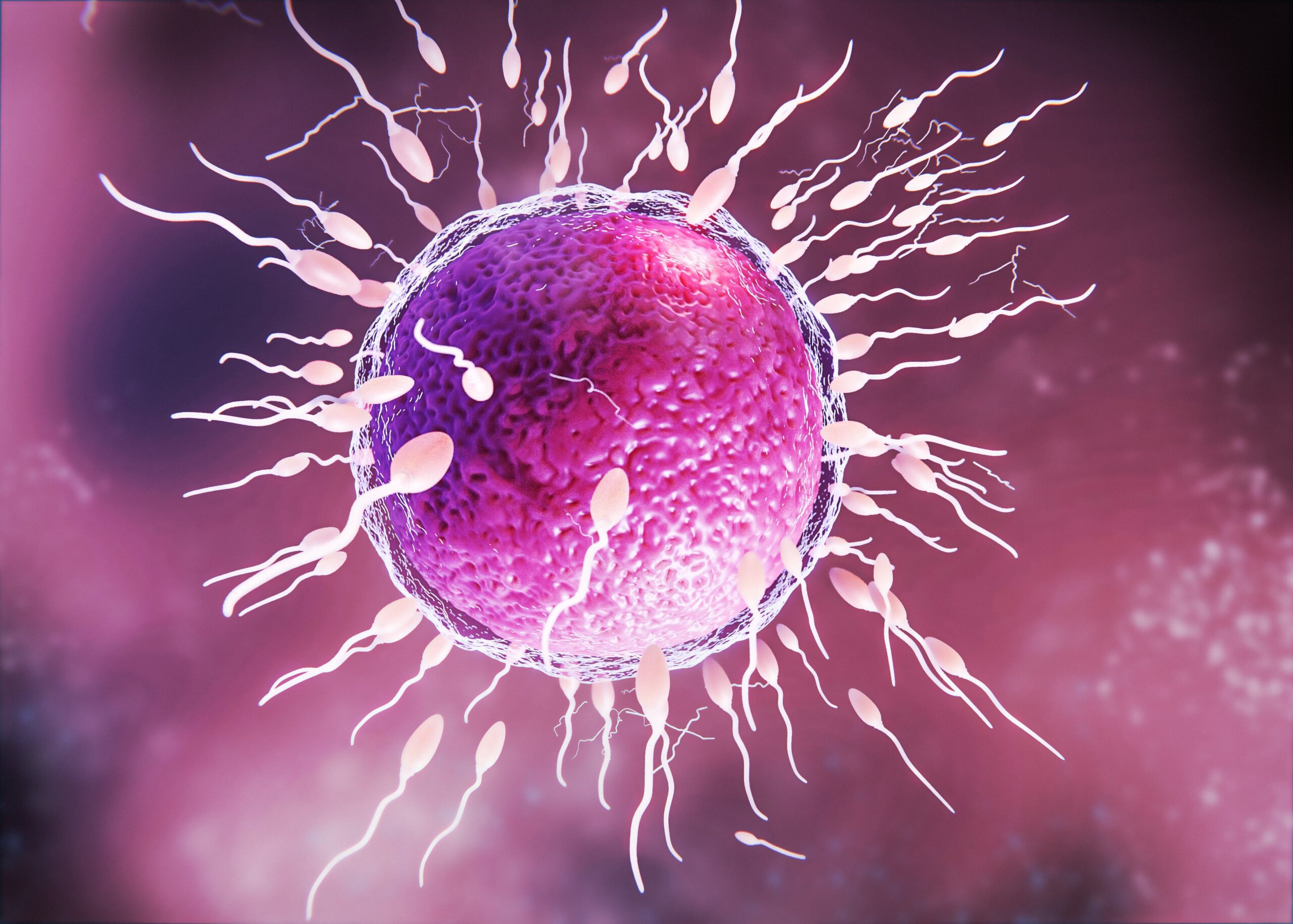 "PrenderSI cura della Fertilità": perché è importante mai come ora