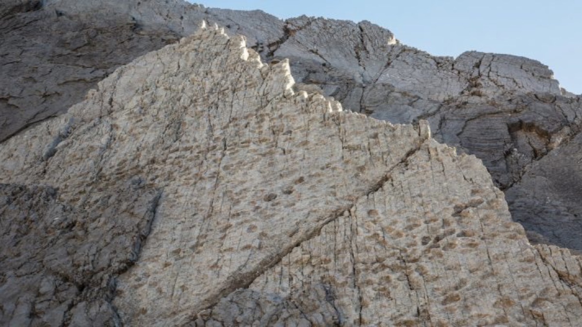 STELVIO – DINOSAURI Nel Parco dello Stelvio rinvenute migliaia di orme di dinosauri risalenti a 210 milioni di anni fa