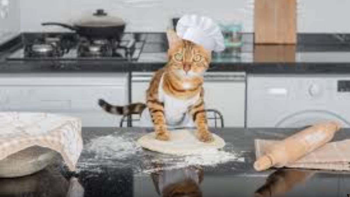 L’AI Slop, la “sbobba” dell’internet da capire e non solo demonizzare