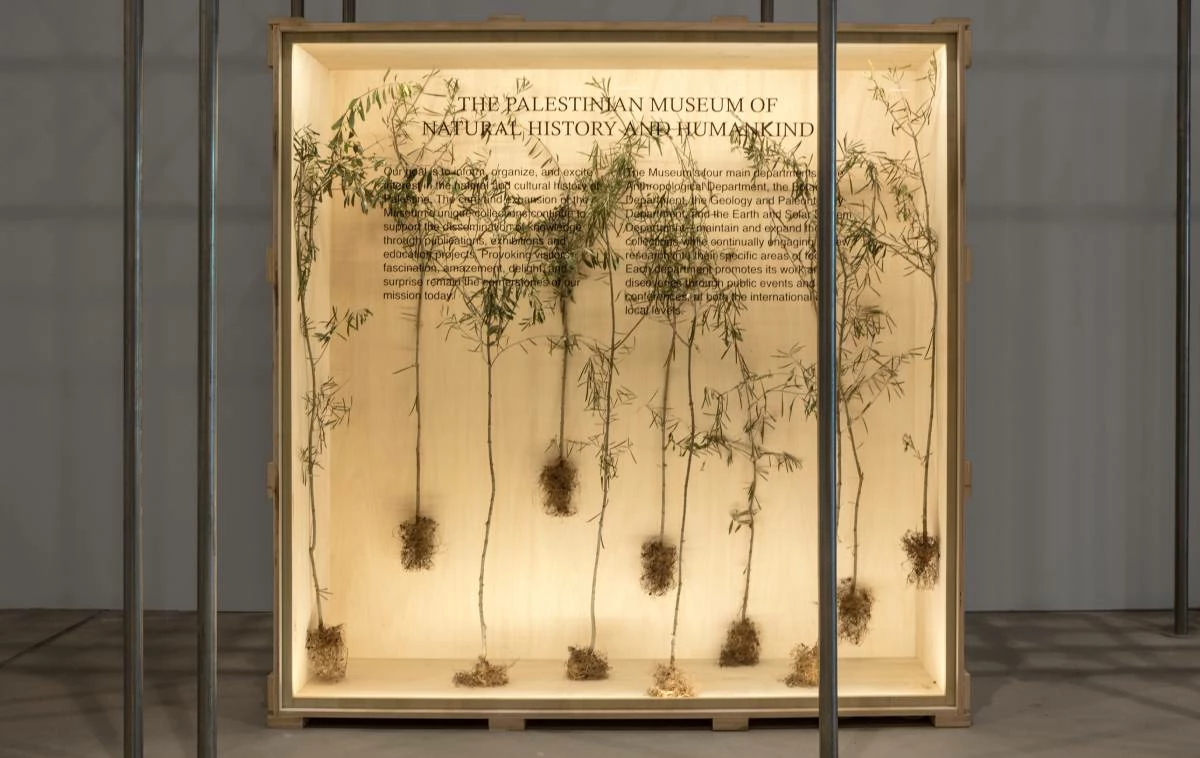 “Il futuro ha un cuore antico”: la storia millenaria di Gaza attraverso l’arte