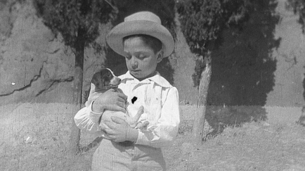 Cesare Brandi, Siena ne celebra l’eredità culturale con l’Edizione Nazionale dell’Opera Omnia e l' apertura della villa