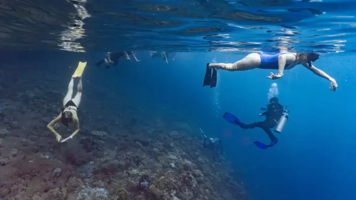 Il turismo subacqueo non è amico della barriera corallina 
